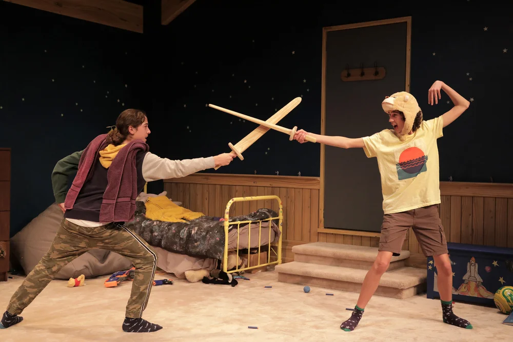 THEATRE REVIEW: Medea was commendable but left something to